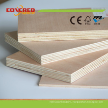 Bintangor Plywood Sheets for Construction